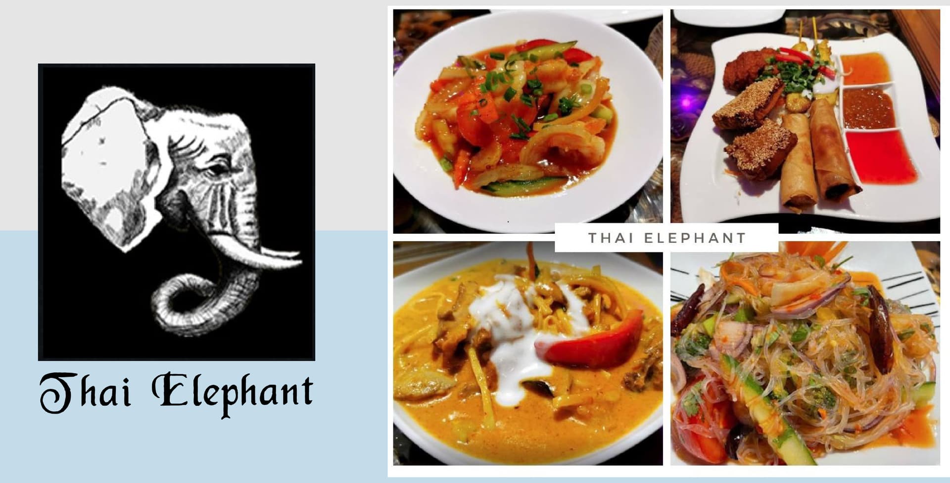 Thai Elephant